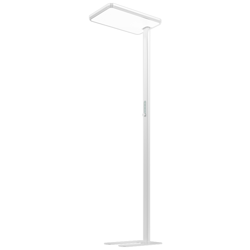 ZX-F0712 white free-standing luminaire with grey pole controls