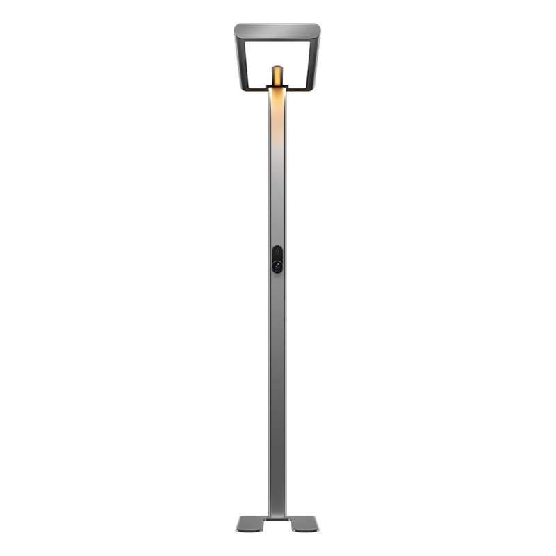 ZX-F0257 floor lamp on a pure white background, showing the head, upright and base